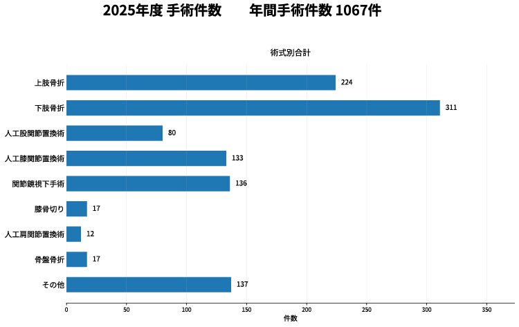 2025年度手術件数